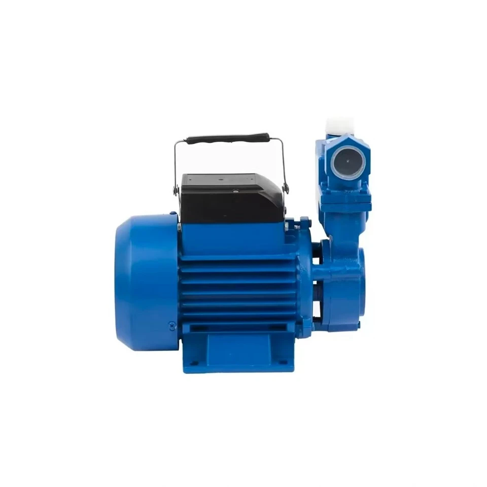 Izdb-65 0.75kw 1HP Rise 45m Self-Priming General Electric Peripheral Water Pump Brass Impeller suppliers Izdb-65 0.75kw 1HP Rise 45m Self-Priming General Electric Peripheral Water Pump Brass Impeller suppliers