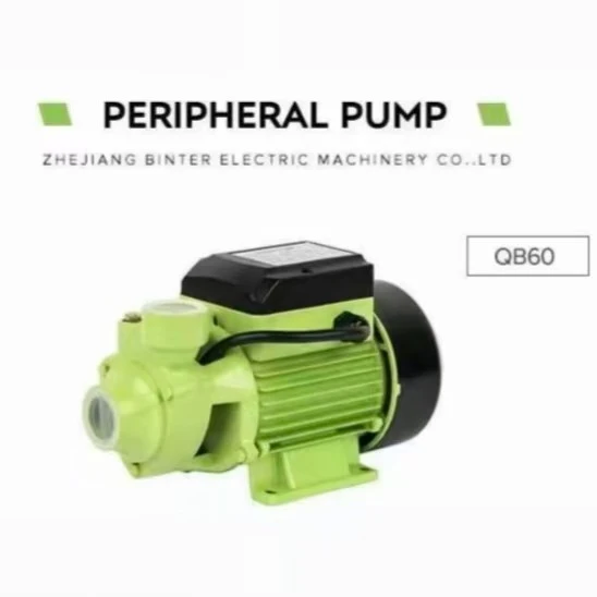 Qb70 0.55kw 0.75HP Rise 25m Domestic OEM Customizable Cable Water Pump suppliers
